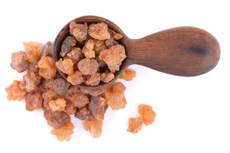 Benefits of Boswellia Serrata as supplement- Usage, effects and many more